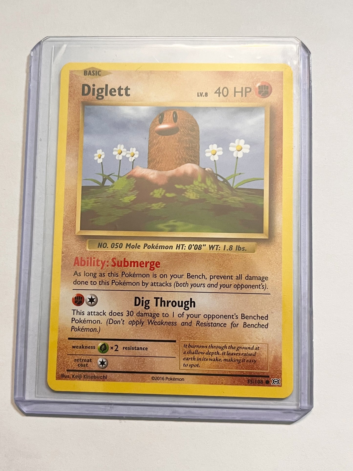 Diglett XY Evolutions!