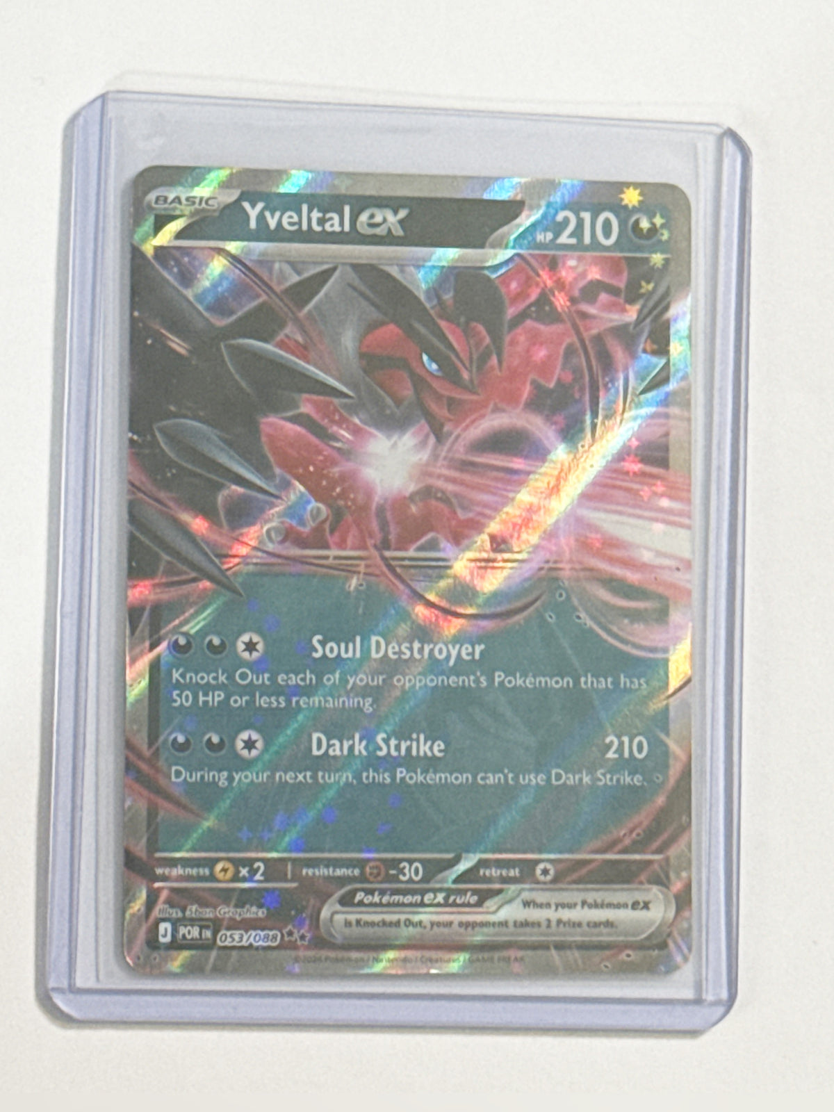 Yveltal EX Perfect Order!