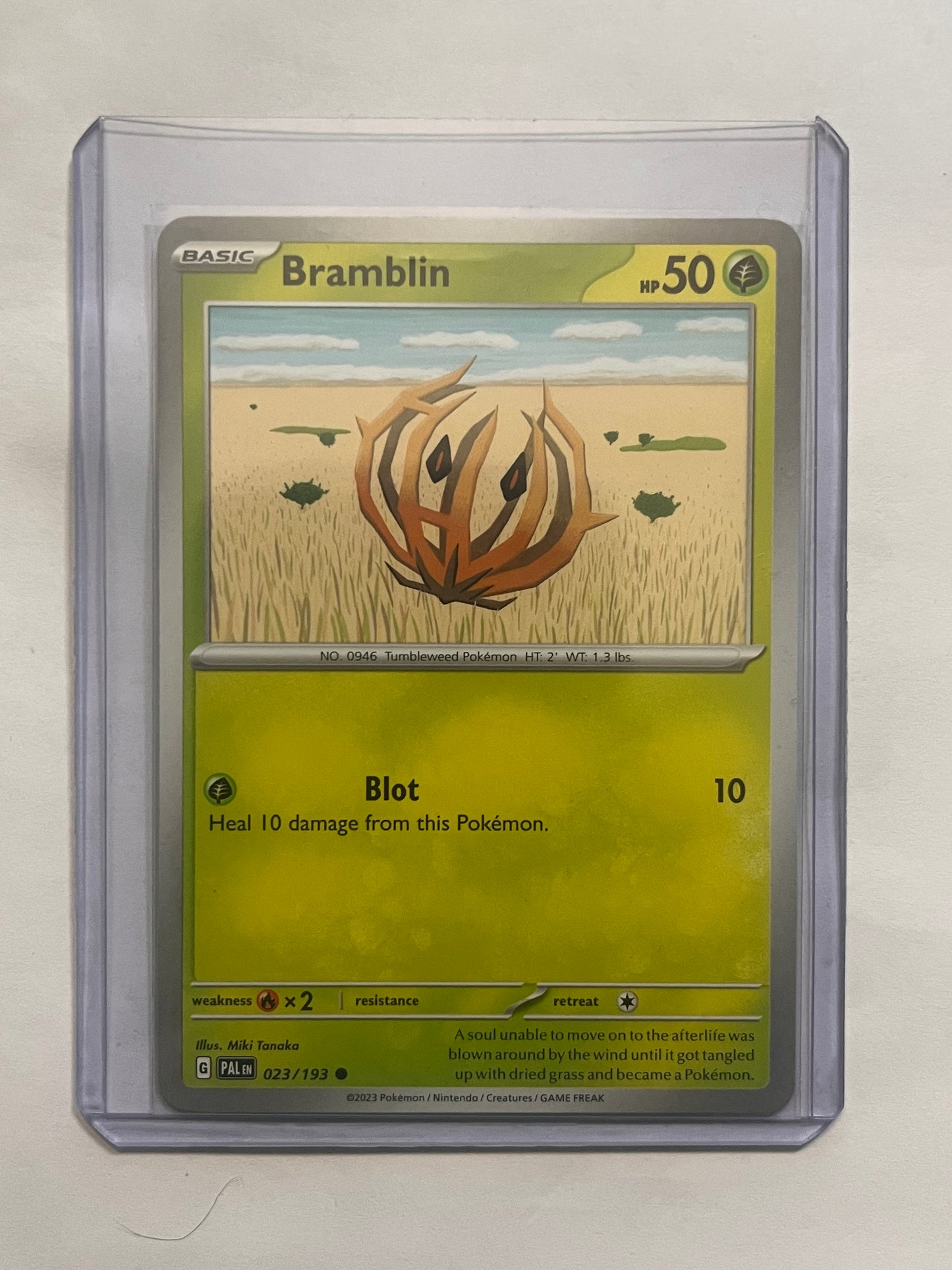 Bramblin Paldea Evolved!