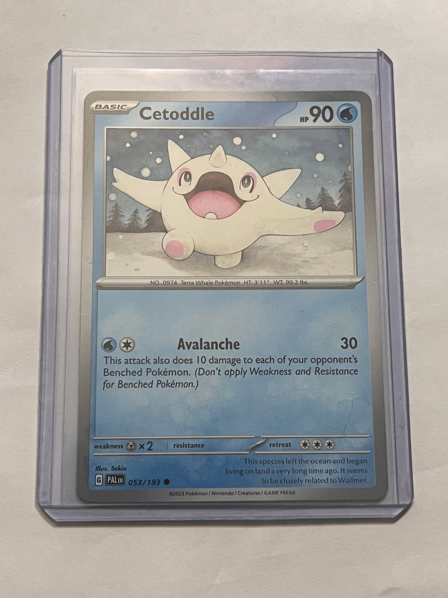 Cetoddle Paldea Evolved!