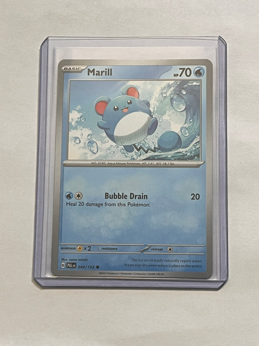 Marill Paldea Evolved!