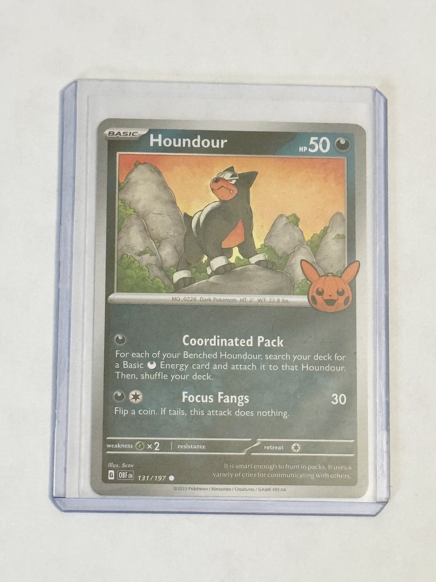 Houndour Trick or Trade 2024!🎃