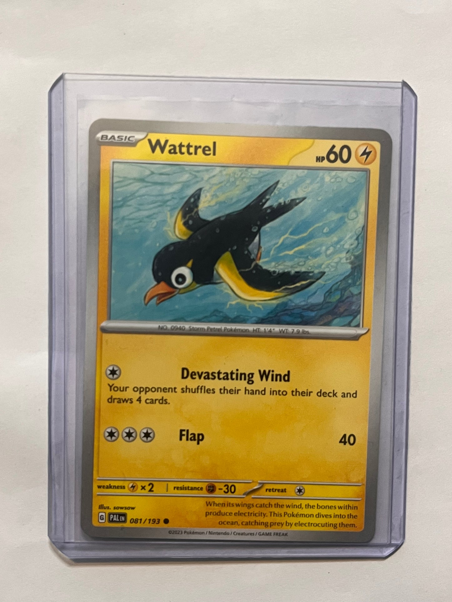 Wattrel Paldea Evolved!