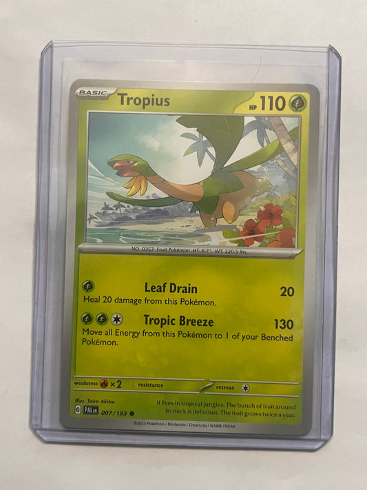 Tropius Paldea Evolved!