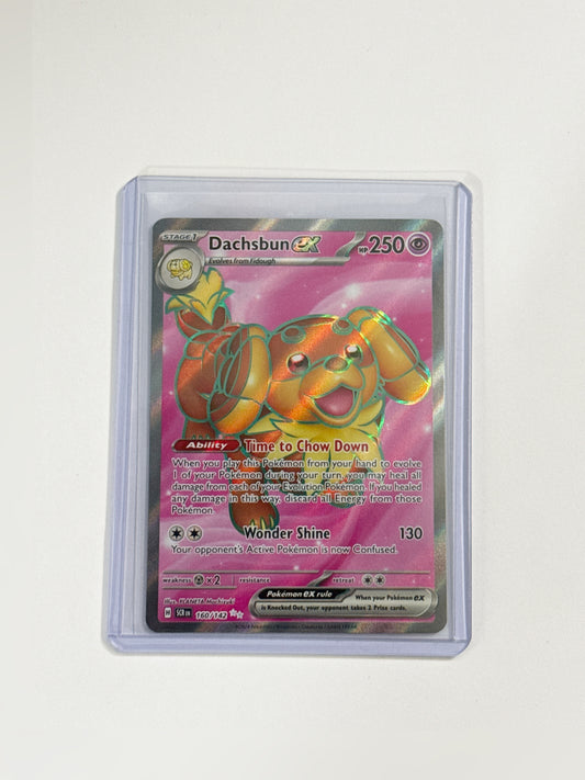Dachsbun EX Stellar Crown!