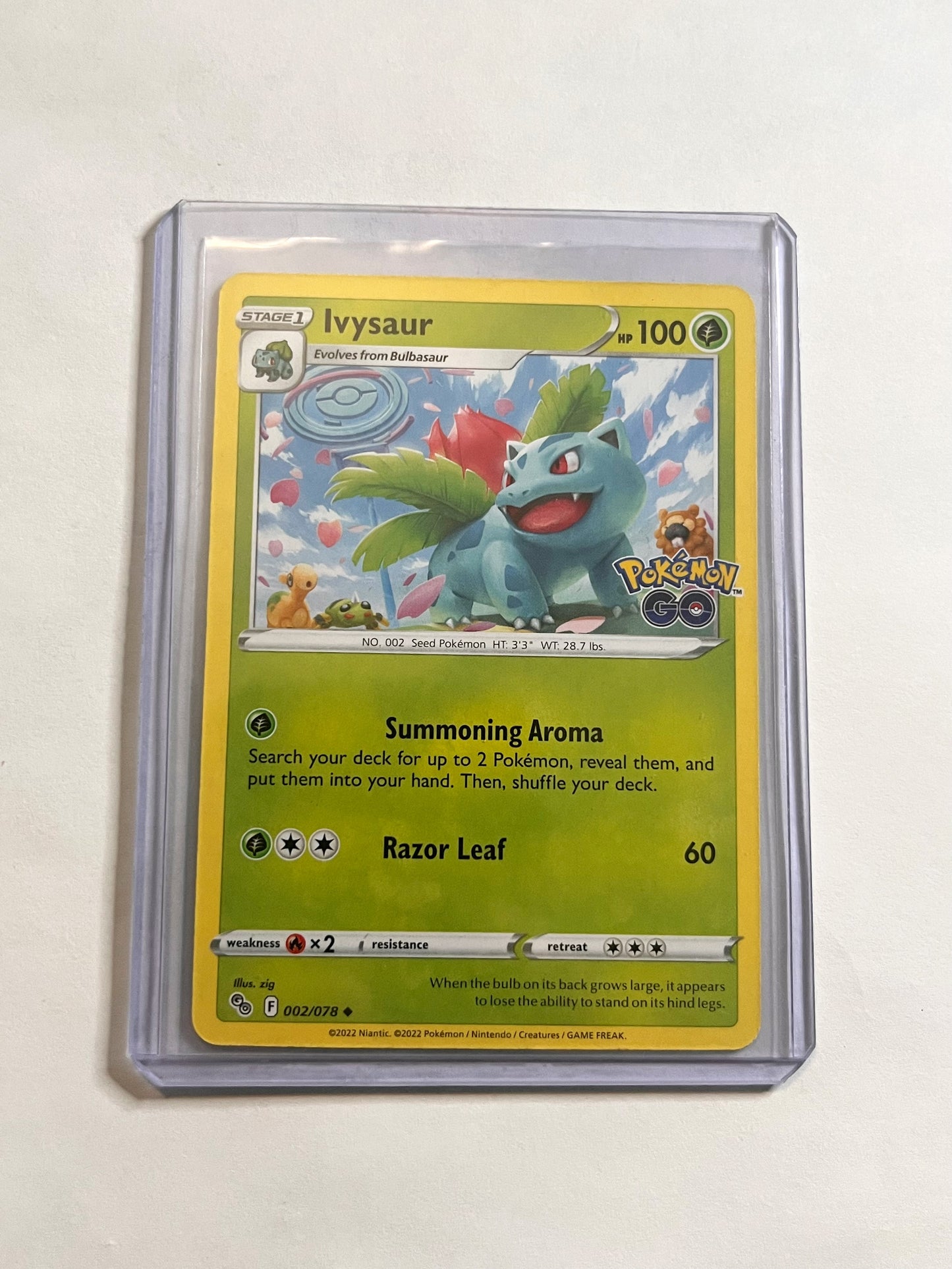 Ivysaur Pogo