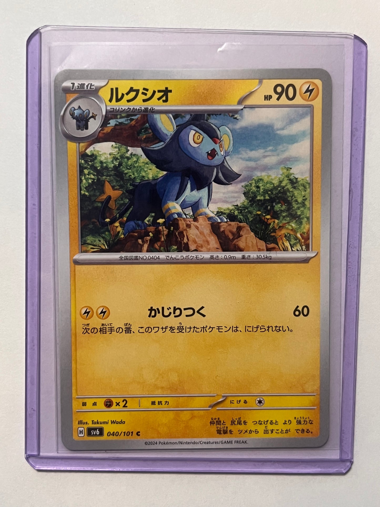 Luxio Mask of Change!