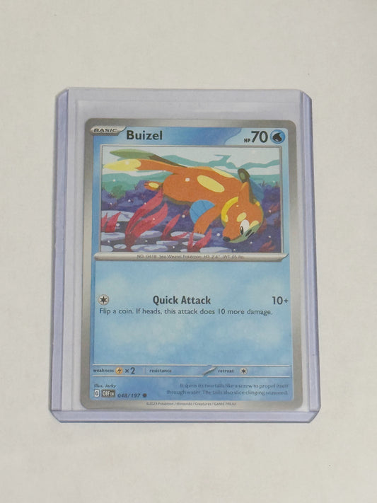 Buizel Obsidian Flames!