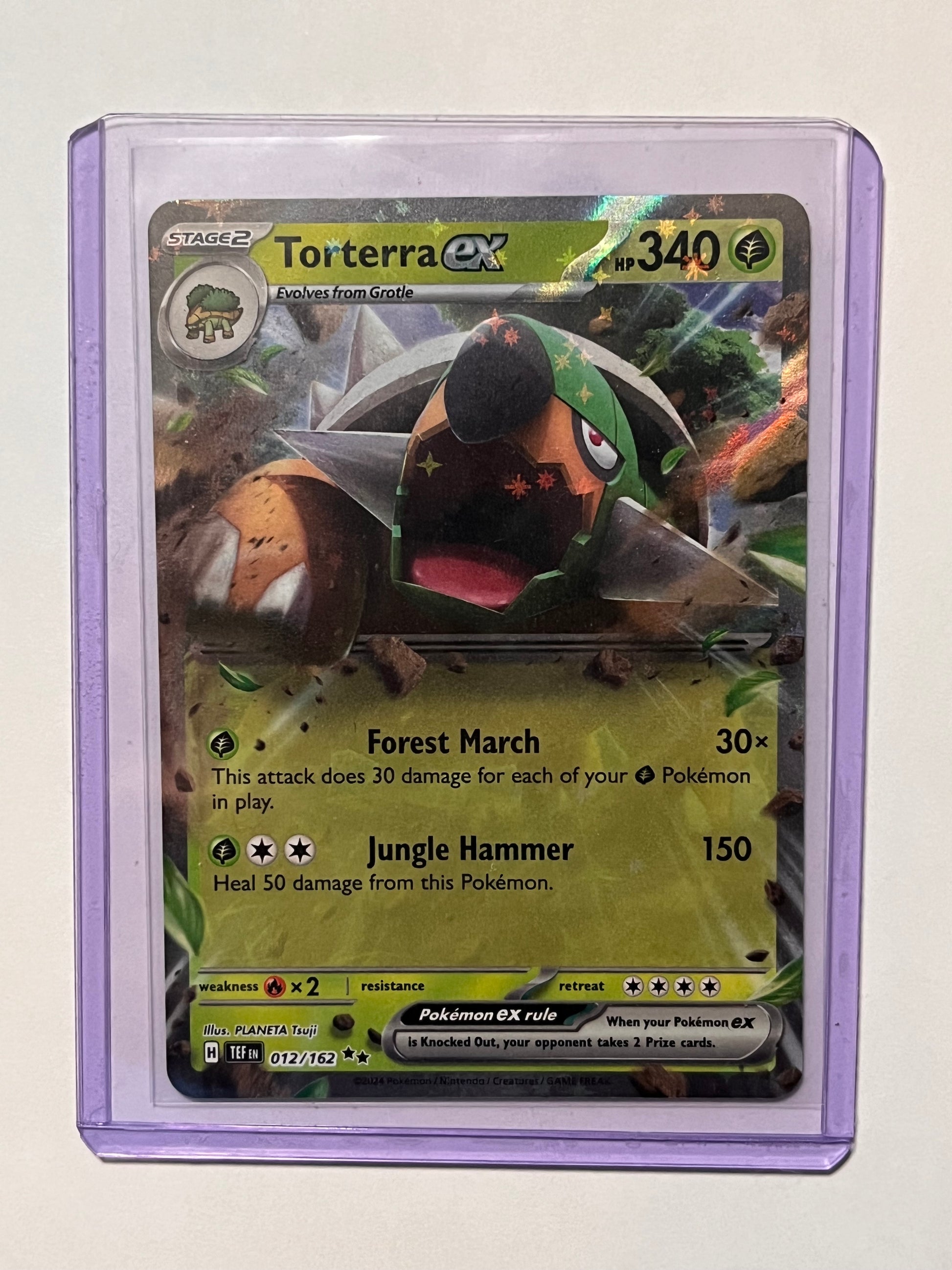 Torterra EX! PokeCity Torterra EX! PokeCity