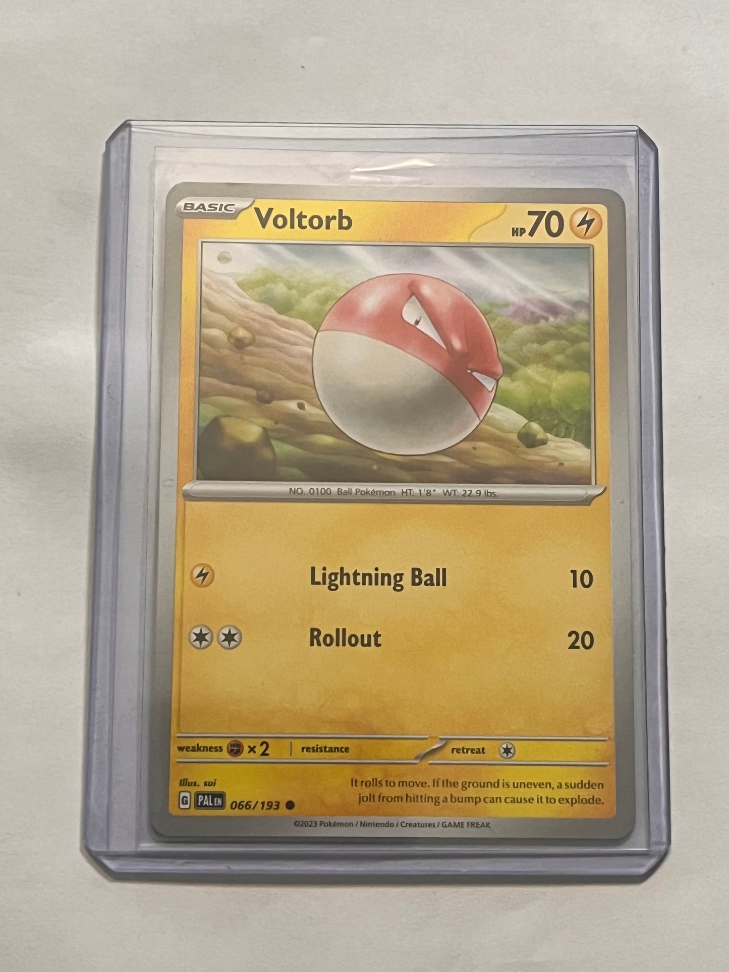 Voltorb Paldea Evolved!