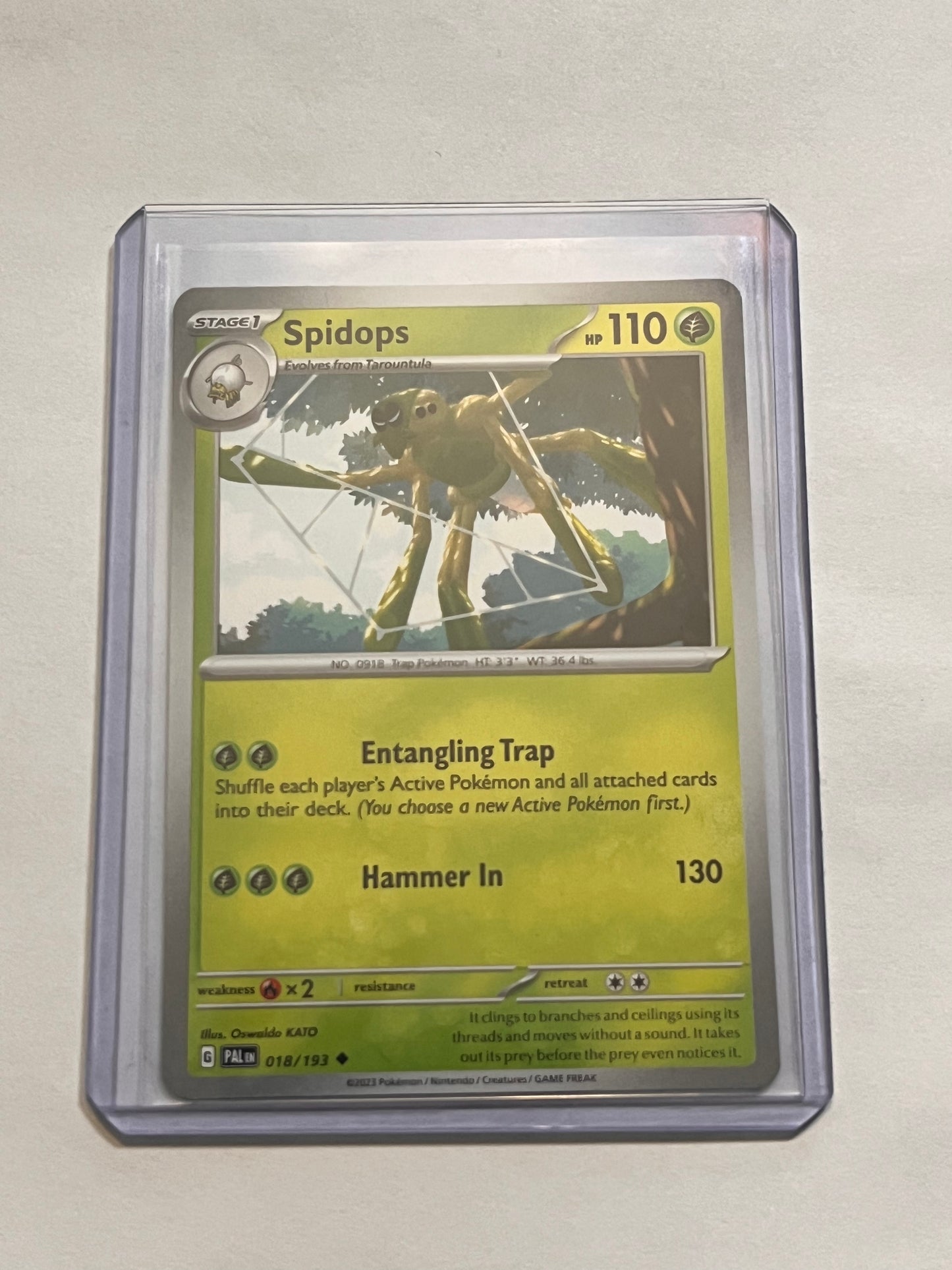 Spidops Paldea Evolved!