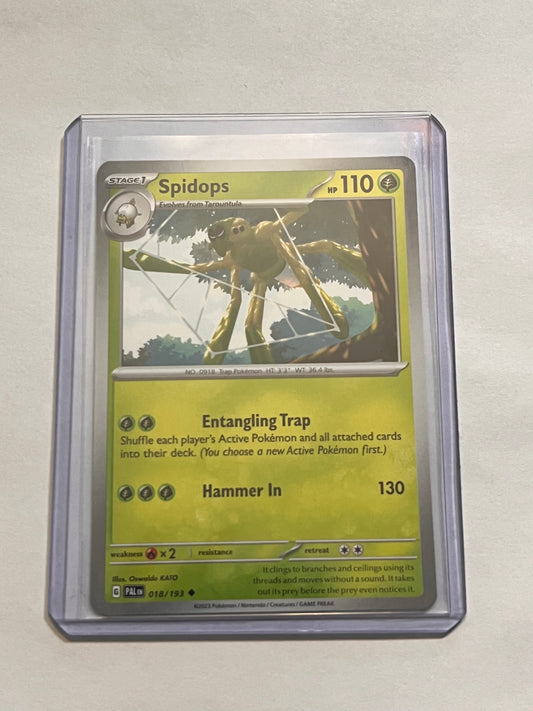 Spidops Paldea Evolved!