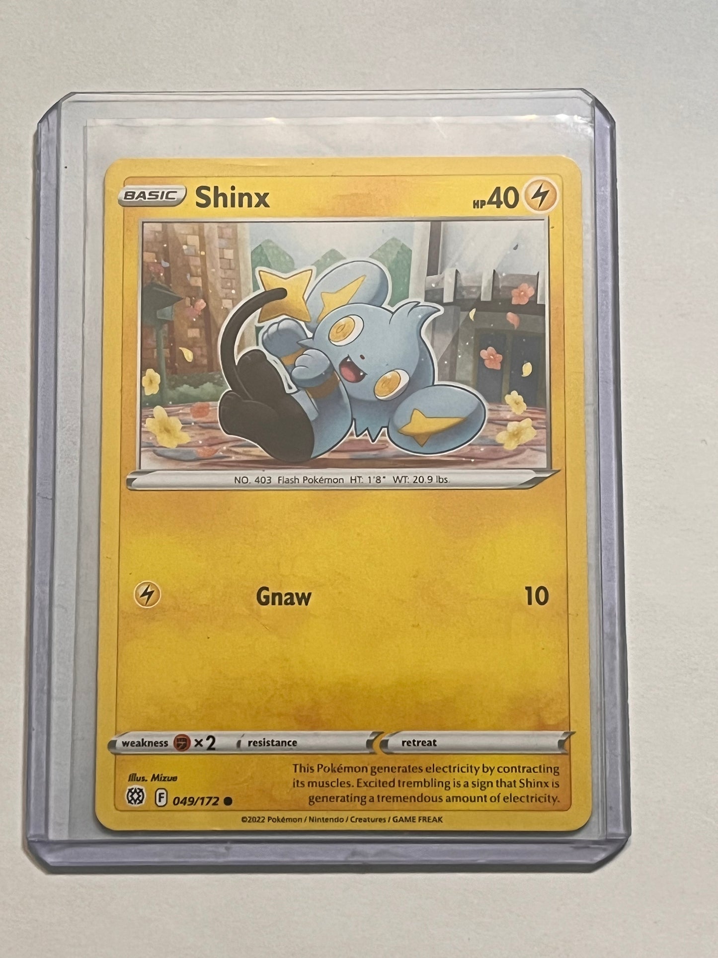 Shinx Brilliant Stars!