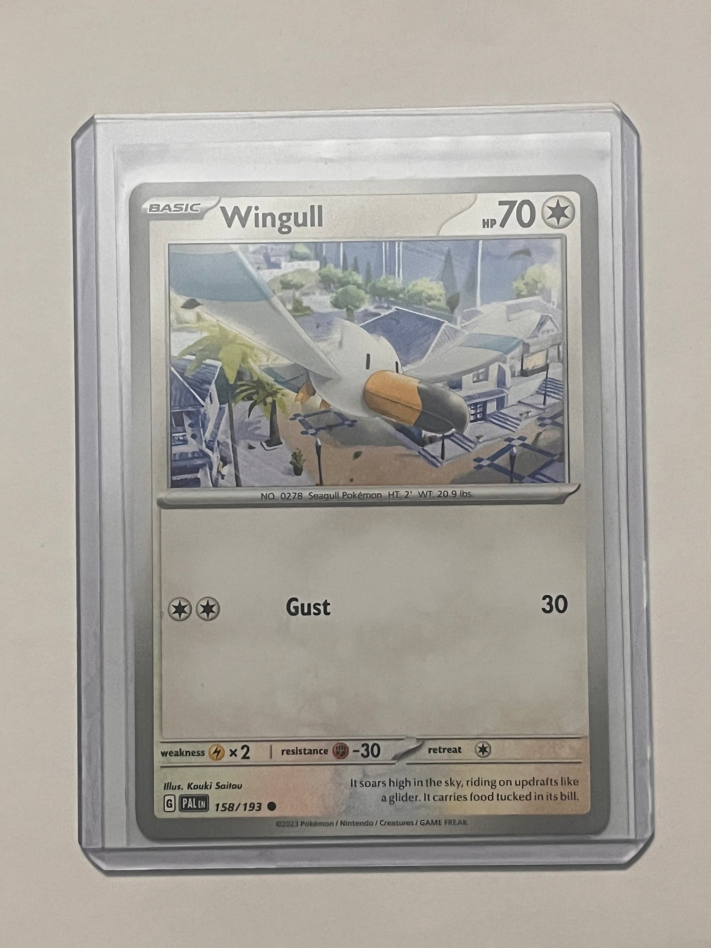 Wingull Paldea Evolved!