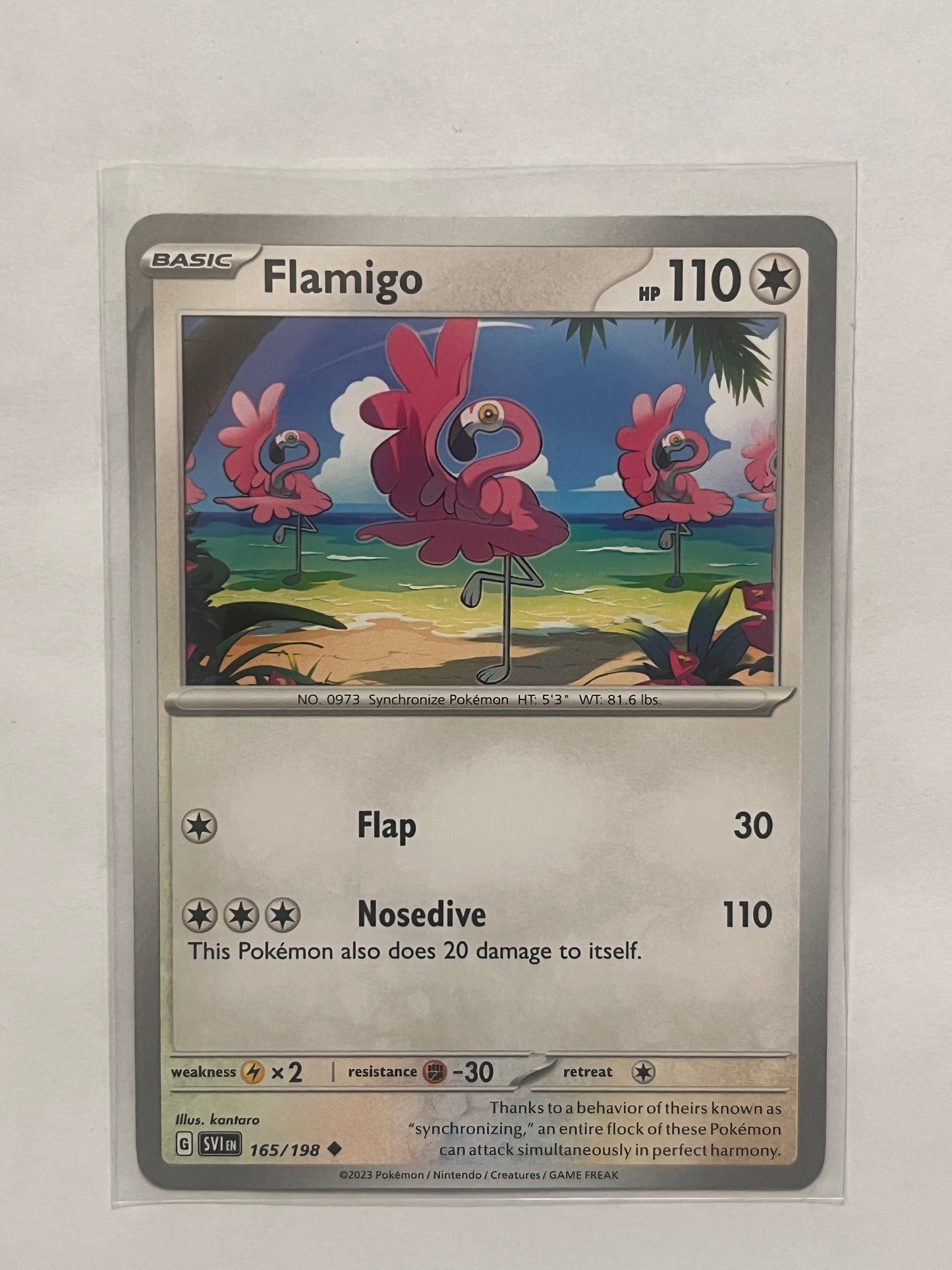 Flamigo Scarlet and Violet base set!