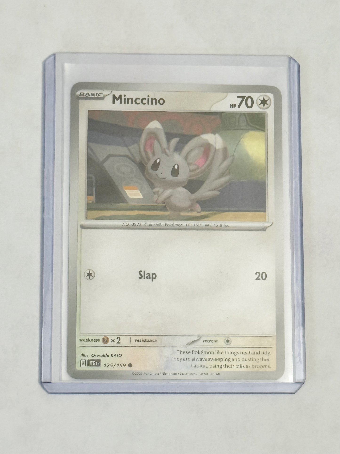 Minccino Journey Together!