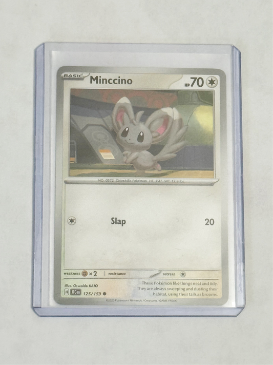 Minccino Journey Together!