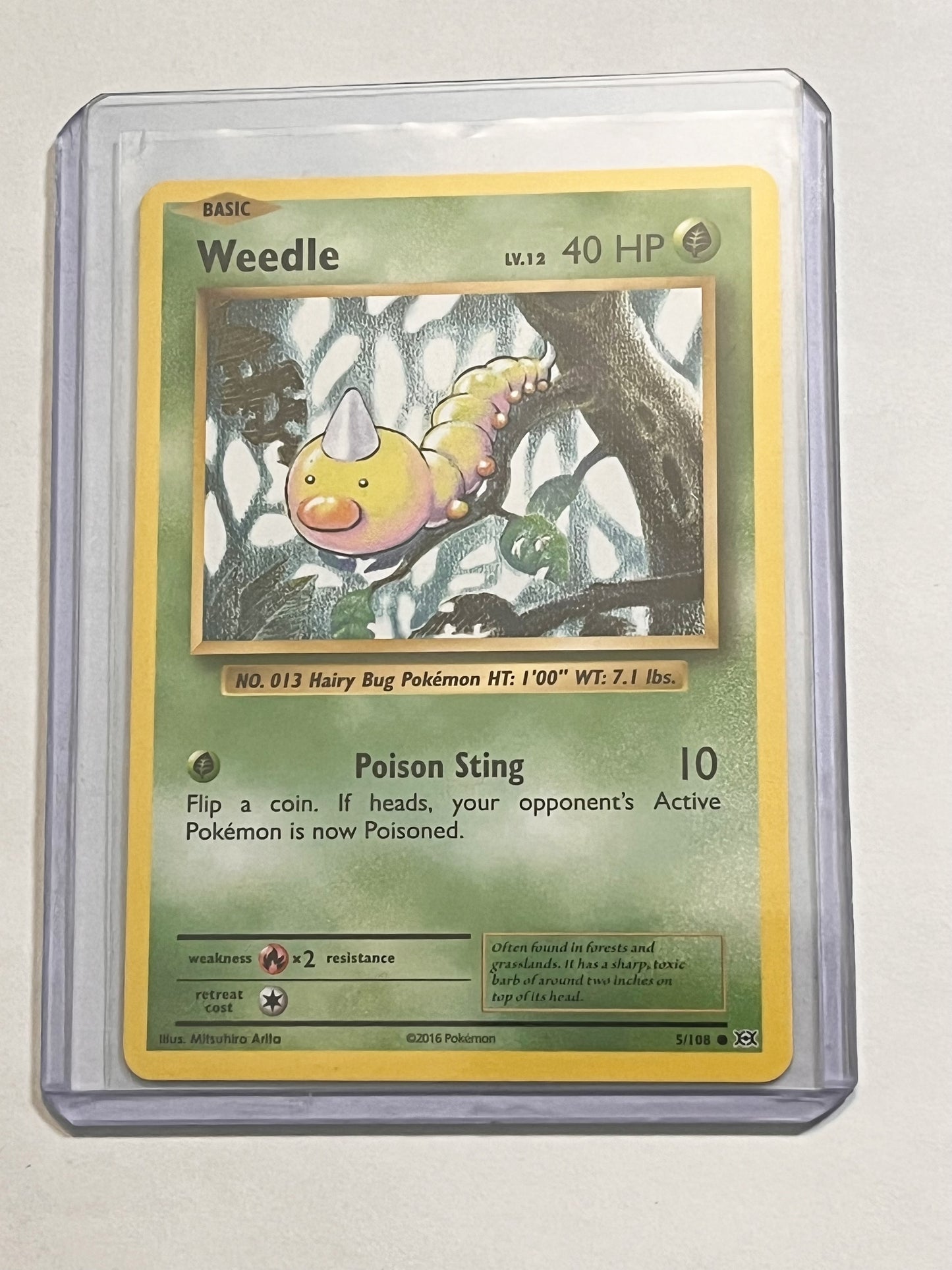 Weedle XY Evolutions!