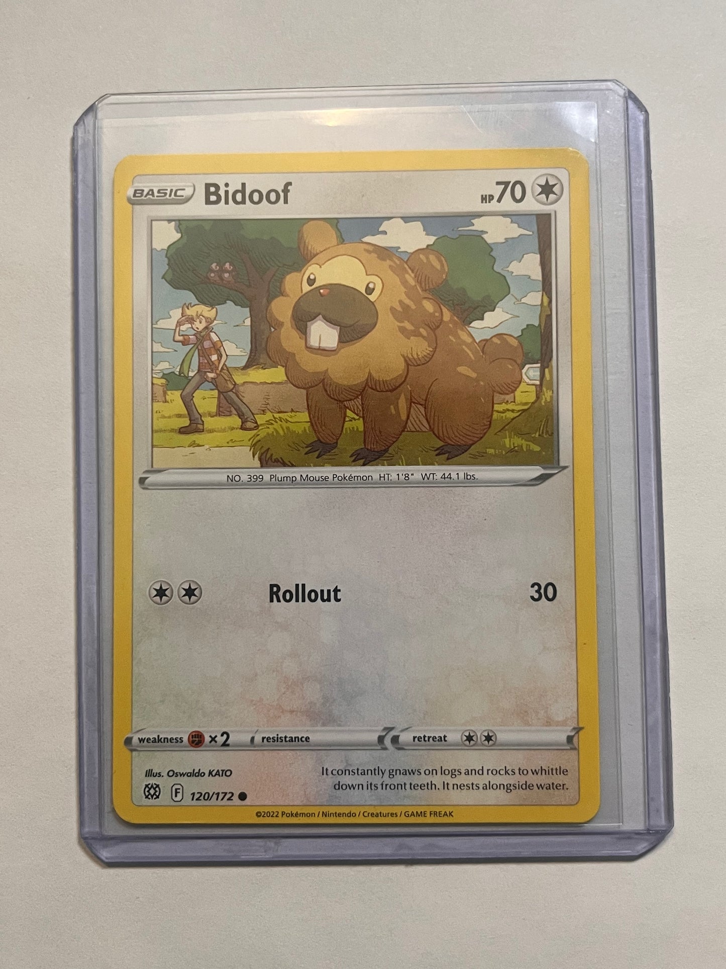 Bidoof Brilliant Stars!