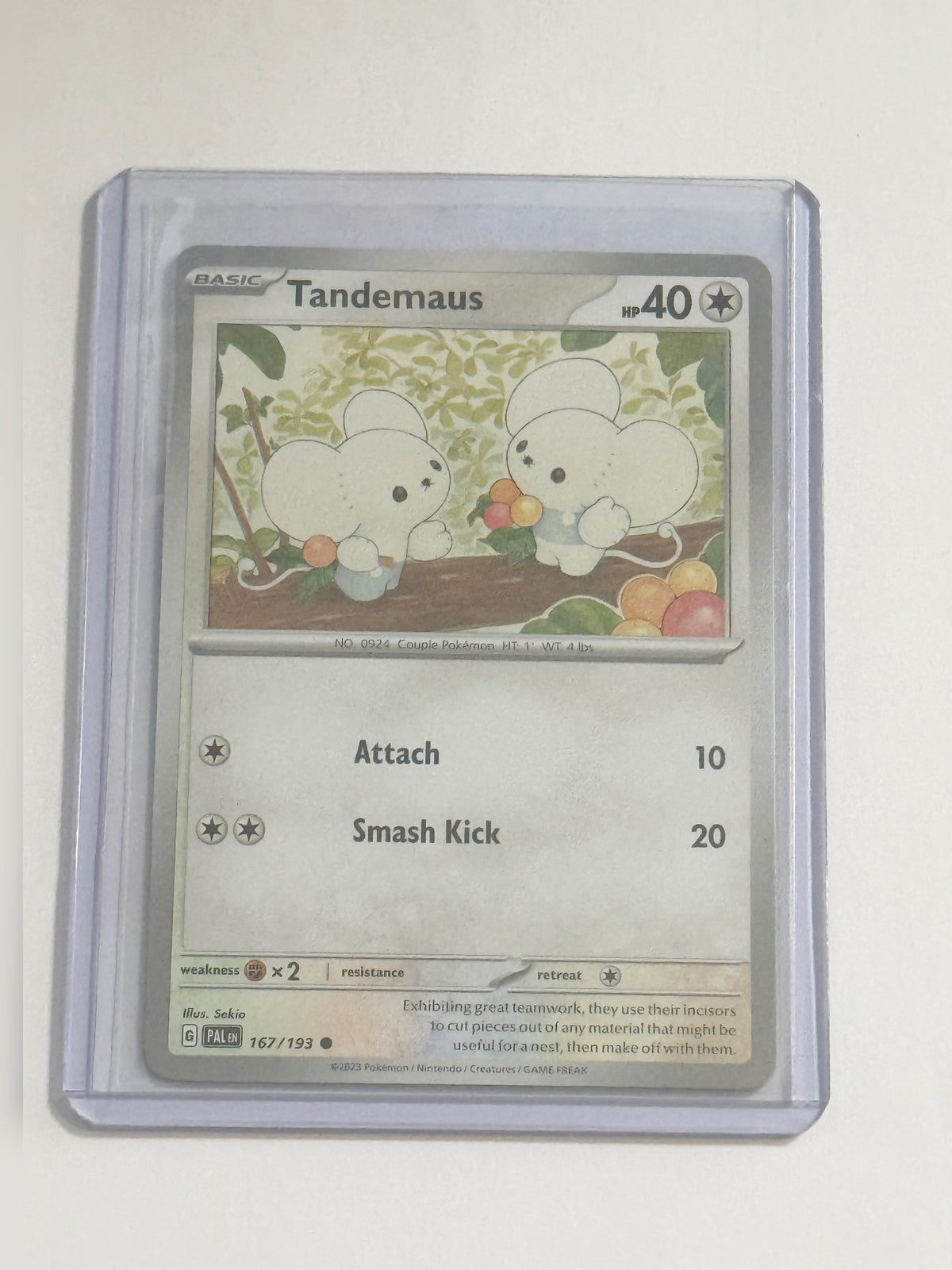 Tandemaus Paldea Evolved!